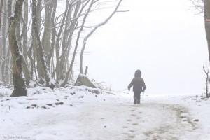 Sur le chemin de l'enfance